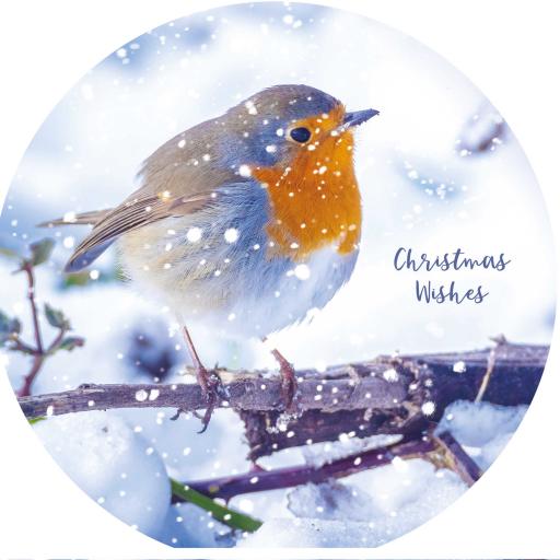 Luxury Christmas Card Pack - Snowfall Robins