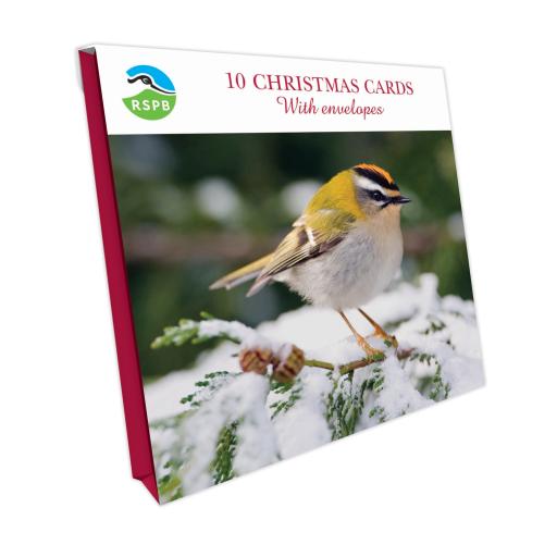 Winter Firecrest - RSPB Small Square Christmas 10 Card Pack