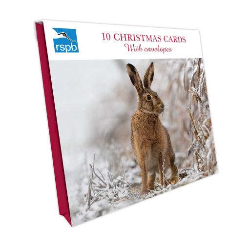 RSPB Small Square Xmas Cards (10) - Winter Hare