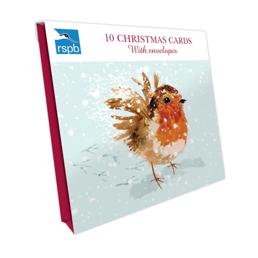 RSPB Small Square Xmas Cards (10) - Robin Flutter